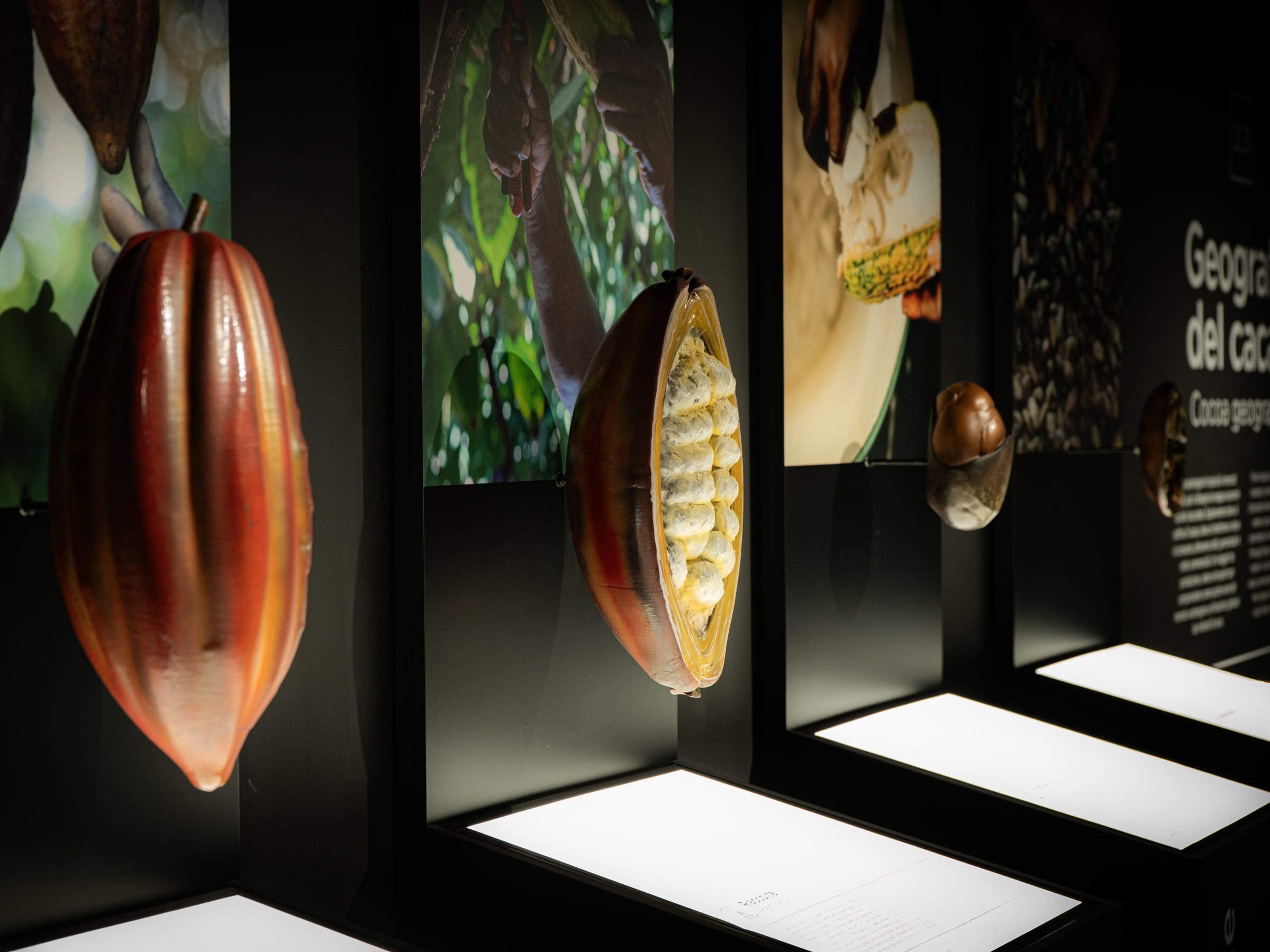 Dolomites Museum of Chocolate